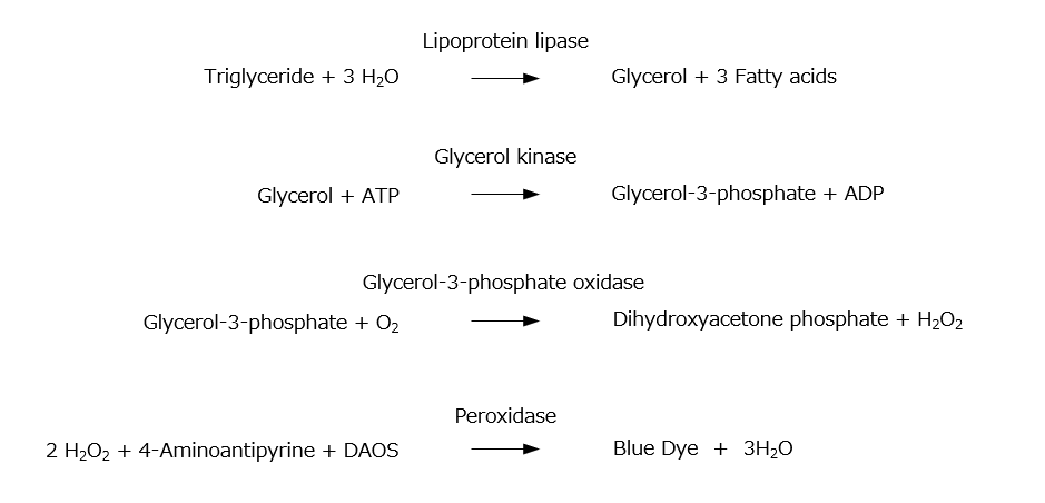 Principle of the Triglycerides assay using GPO-DAOS method