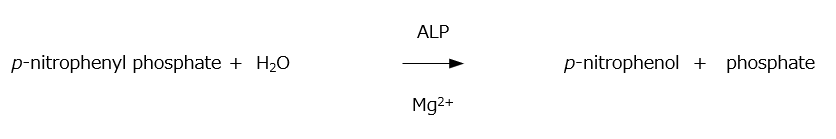 Principle of the ALP assay using p-nitrophenyl phosphate substrate method