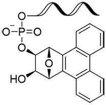 oligonucleotide-PT(Oligonucleotides with attached linker)