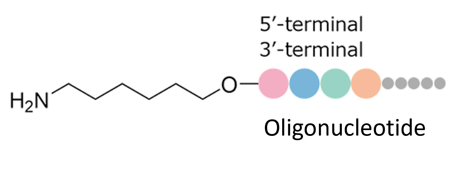 Conventional Amino Linker