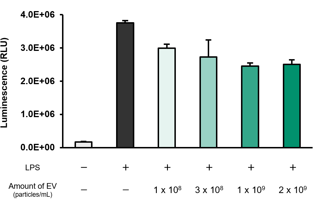Evaluation of Anti-inflammatory Activity