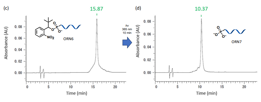 (c) HPLC profile of RNA after RP-HPLC purification (d) HPLC profile of the produced 5’-monophosphate RNA by UV-irradiation of 5′-Nb-protected RNA