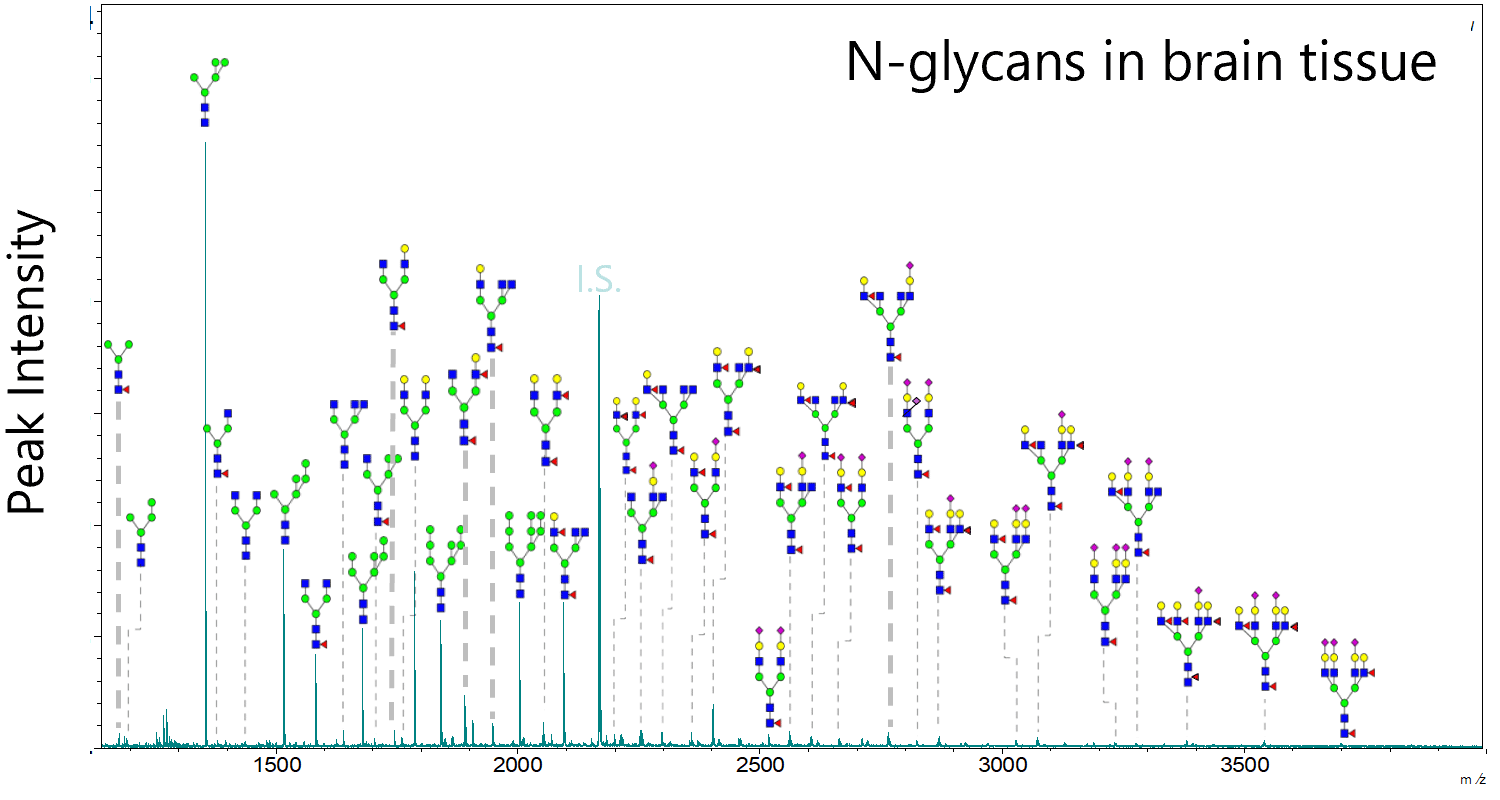 Examples of glycan analysis in biological samples using BlotGlyco