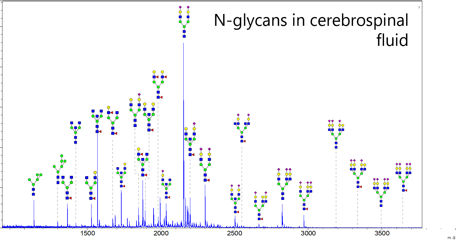 Examples of glycan analysis in biological samples using BlotGlyco