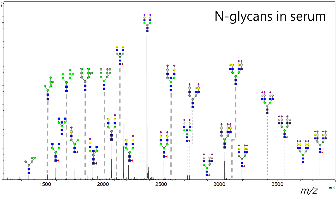 Examples of glycan analysis in biological samples using BlotGlyco