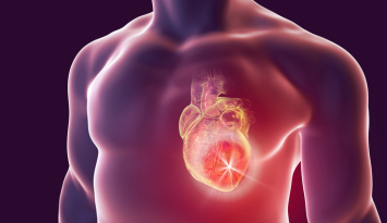 Cardiac Organoids