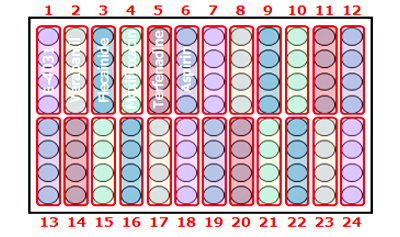 Extracellular Field Potential