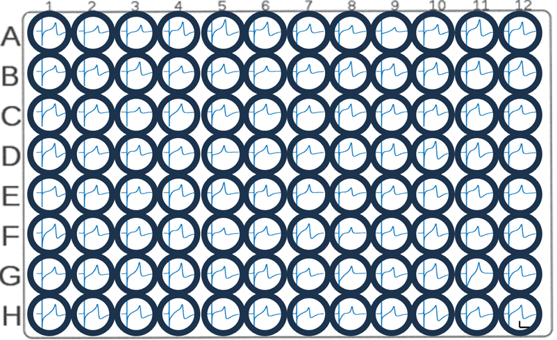 Extracellular field potential [0.1% DMSO]
