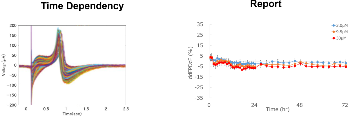 Extracellular Field Potential
