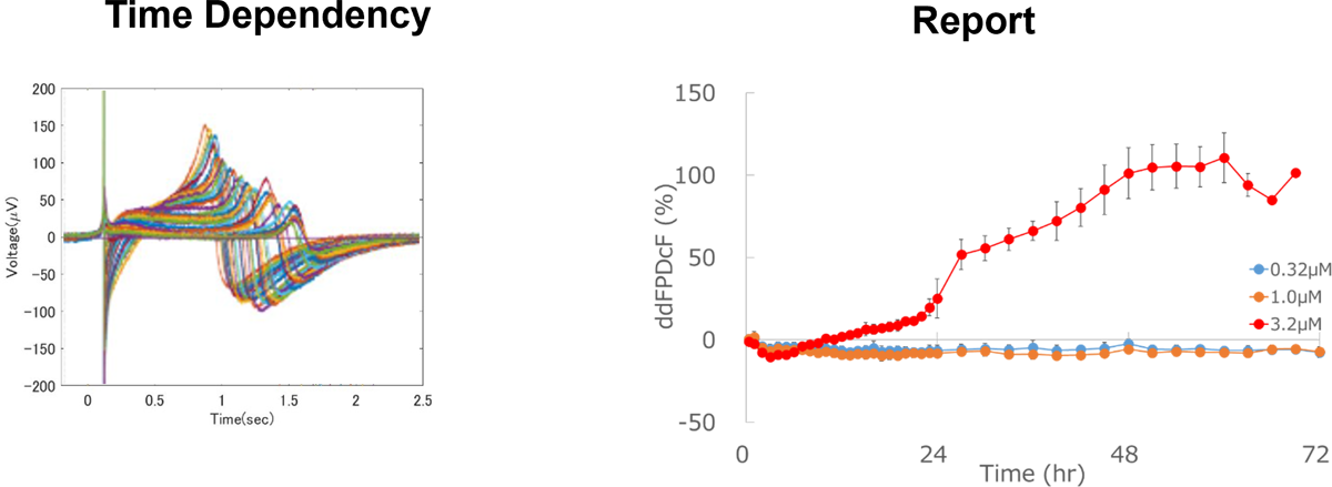 Extracellular Field Potential