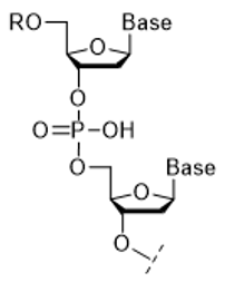 NucleicAcidChemistry_img02R.png