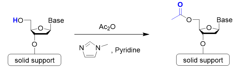 NucleicAcidChemistry_img06R.png