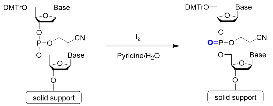 NucleicAcidChemistry_img07R.png
