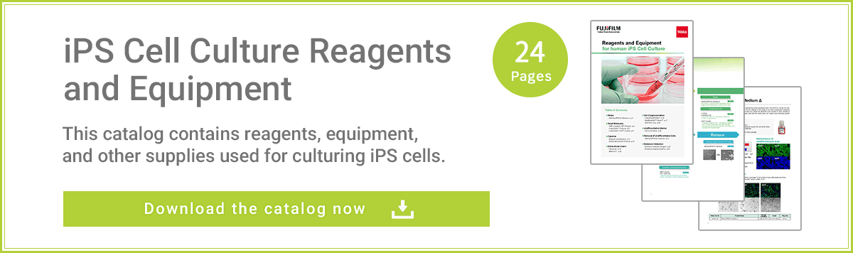 iPS Cell Culture Reagents and Equipment
