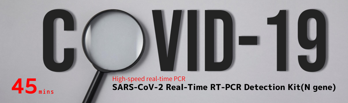 COVID-19: High-speed real-time PCR Detection Kit [45 mins]