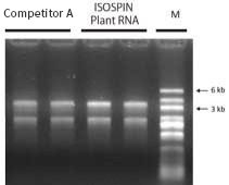 Electrophoresis Seeds