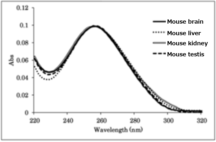 RNA absorbance spectrum