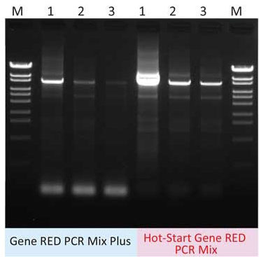 PCR with primer that often cause primer dimer (Electrophoresis image)