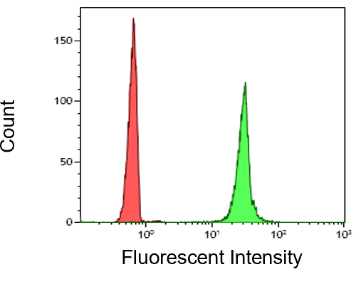 (3) Flow cytometry analysis