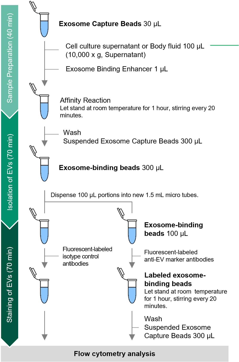 Protocol (for 2 reactions)