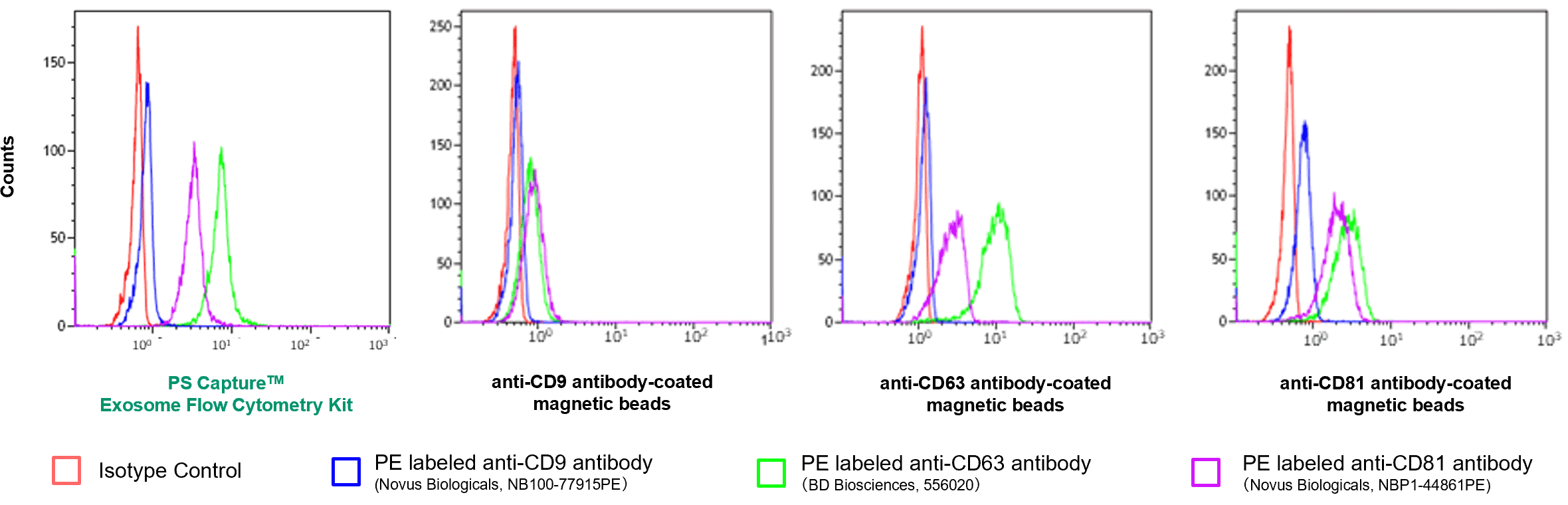 Analysis of Surface Antigens of EVs in Cell Culture Supernatants