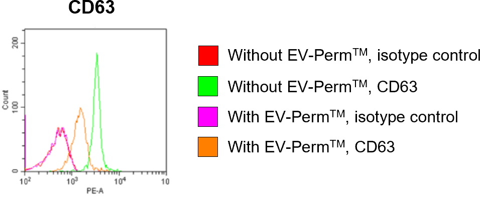 CD63