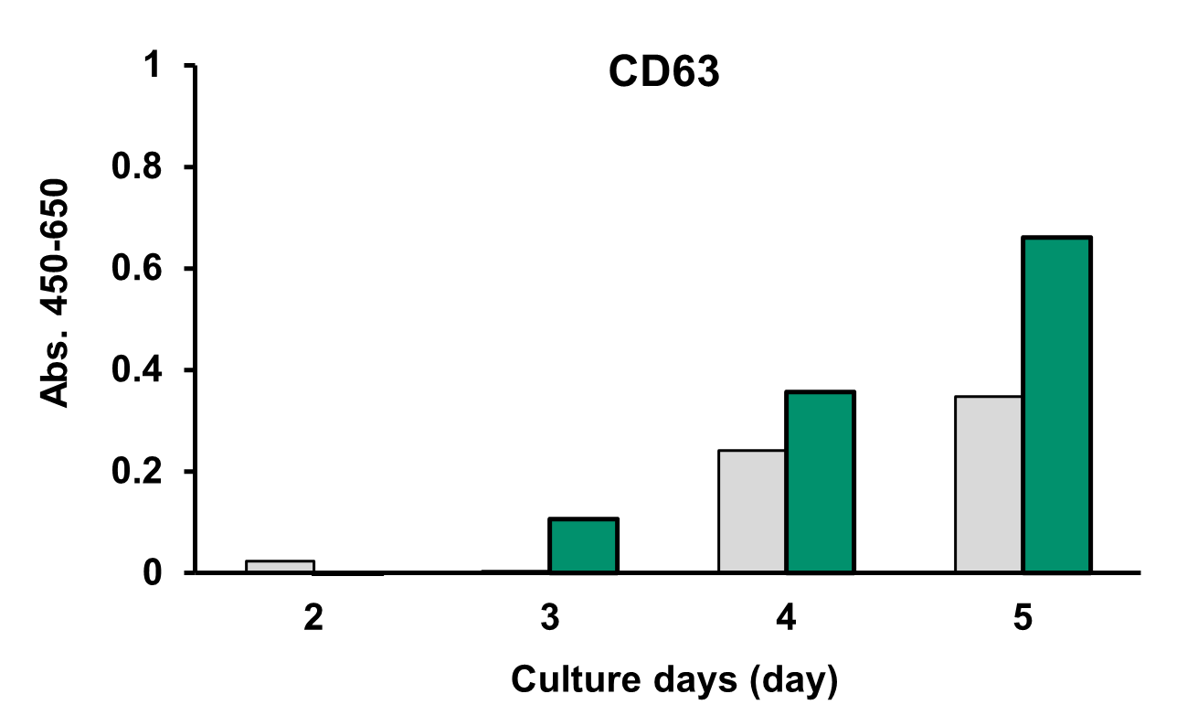 CD63