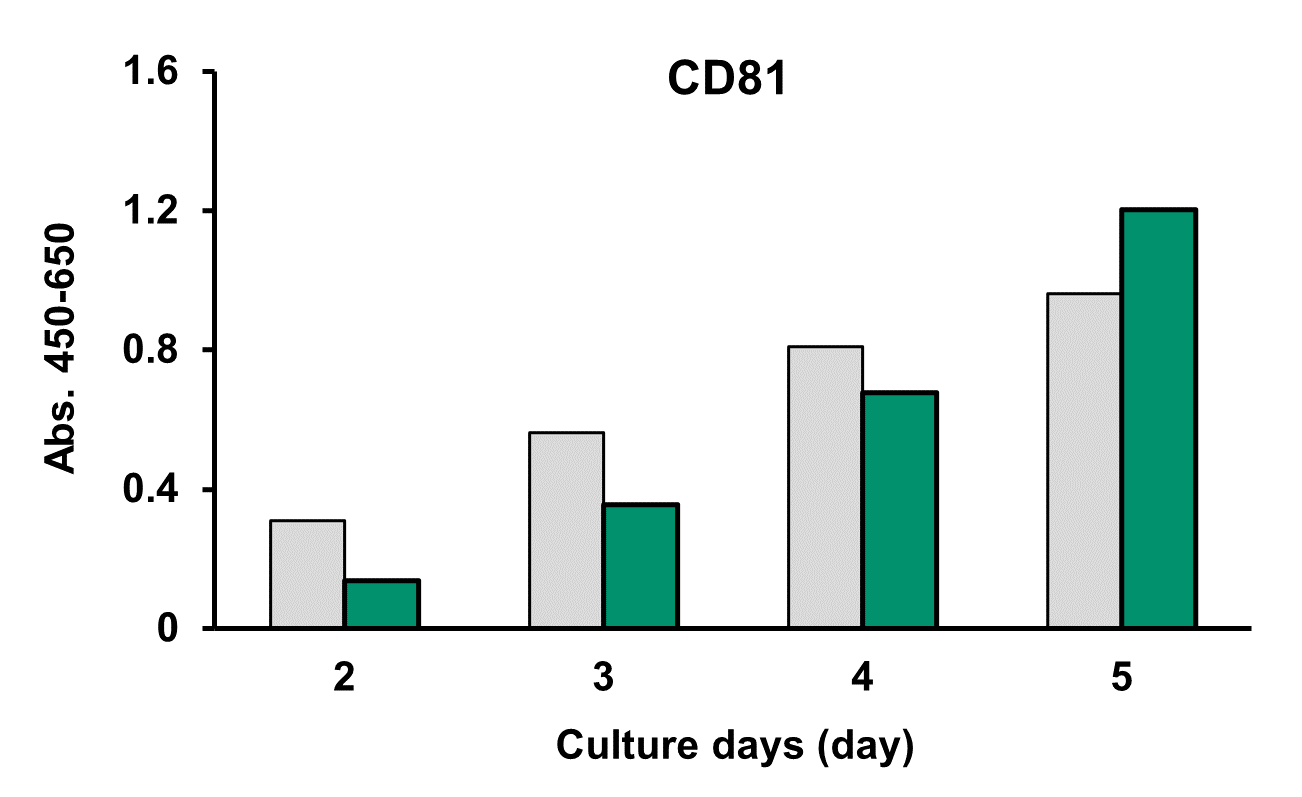 CD81