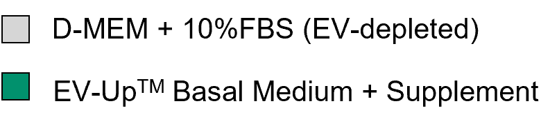 CD81