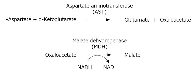 Figure 1 Principle of the AST (GOT) assay