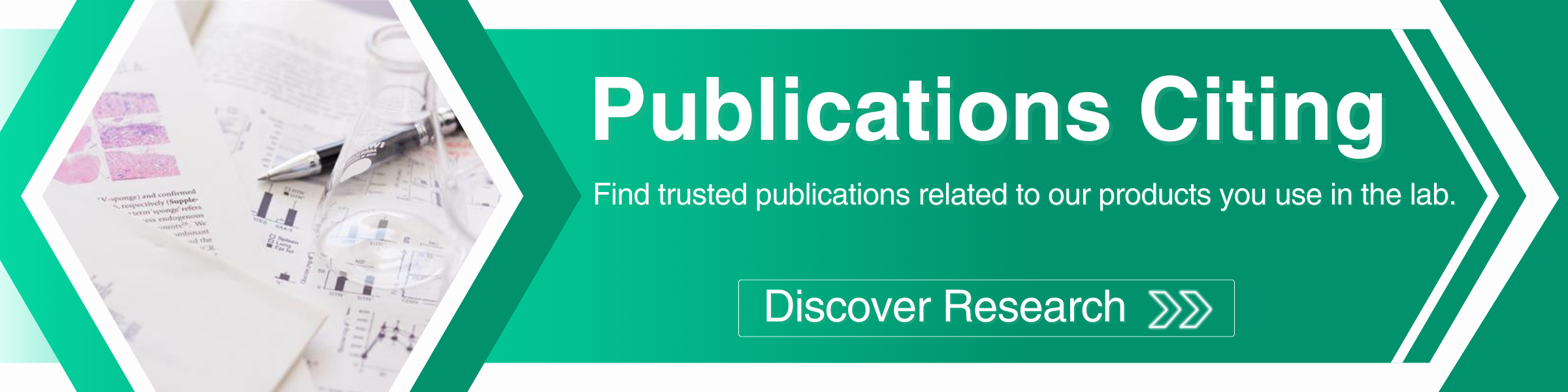 wakoページ Anti Iba1, Rabbit (for Immunocytochemistry)・019-19741[Detail