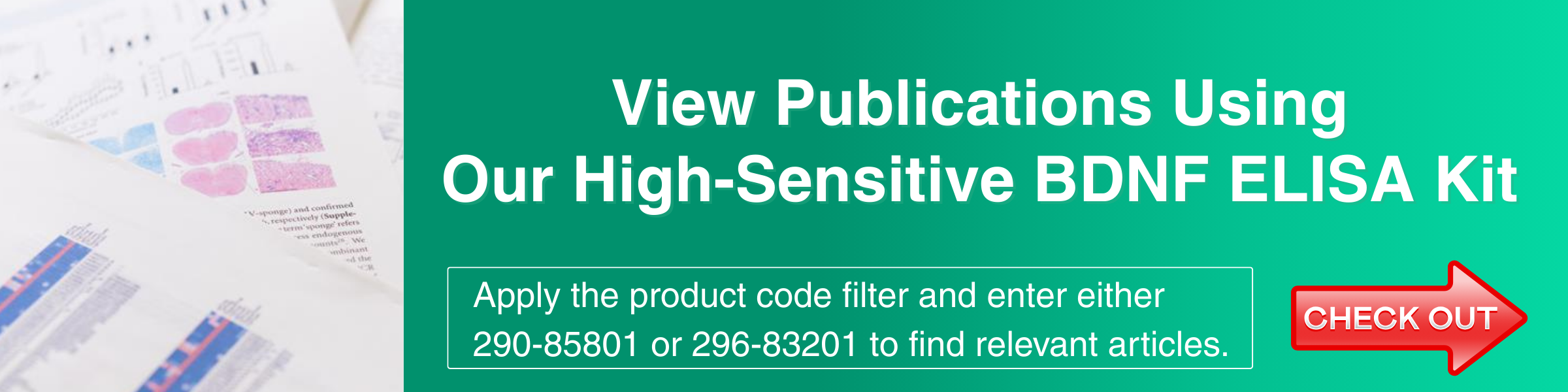 Mature BDNF ELISAキットワコー・Mature BDNF ELISA Kit Wako・296