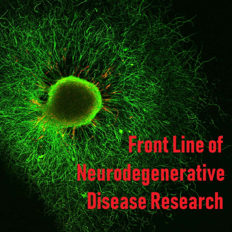 Vol. 6. α-Synuclein in Parkinson's Disease