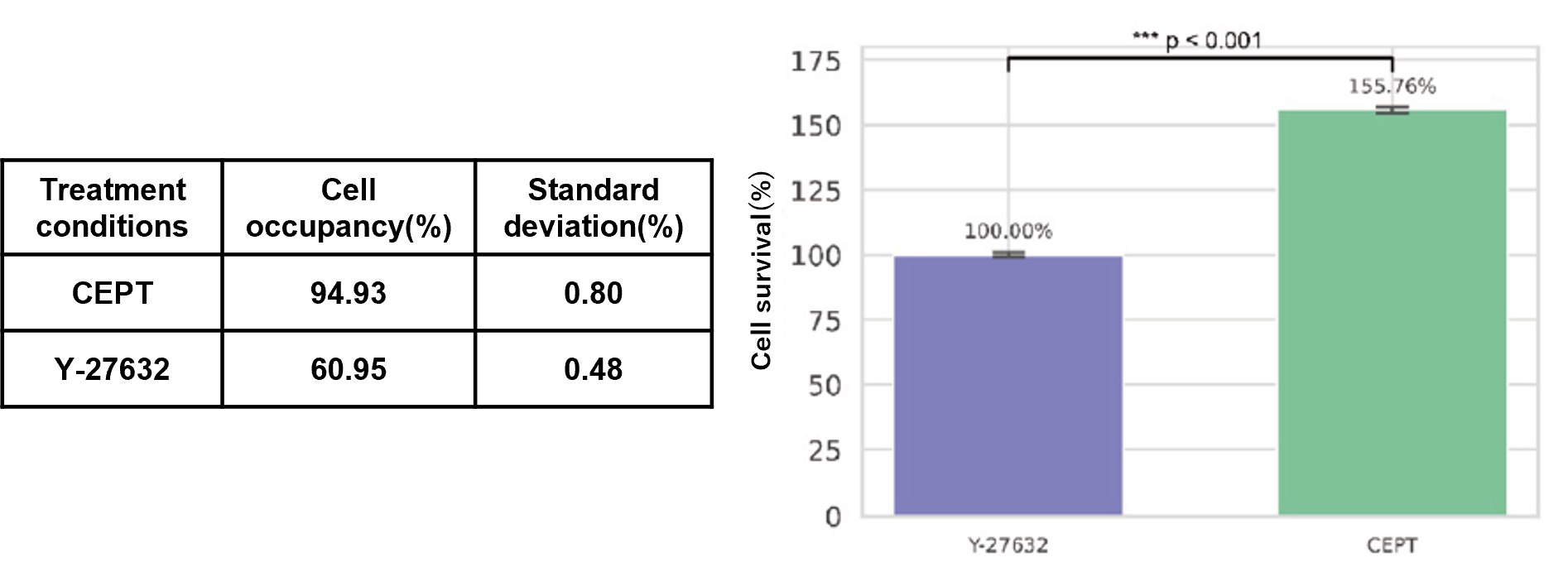 Figure 1. Cell death-suppressive effects of CEPT and Y-27632. CEPT markedly improved cell viability 24 hours after electroporation.