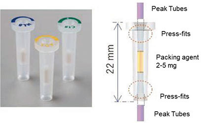 Figure 3. Flash-SPE solid-phase cartridge and its structure